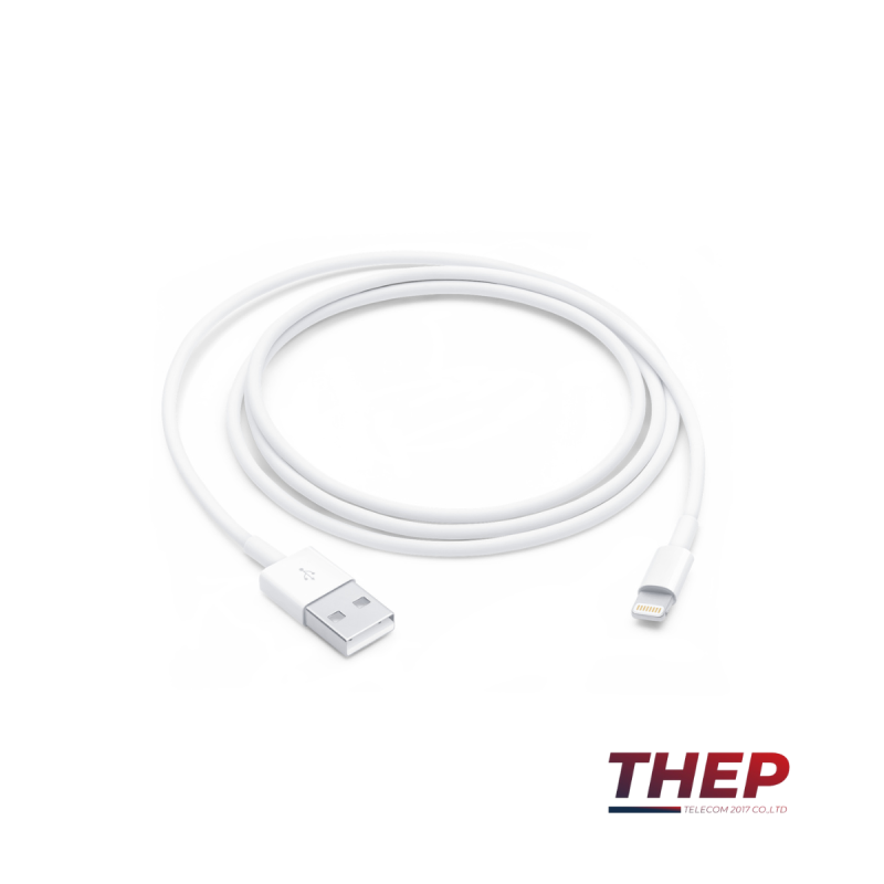 Apple Lightning to USB Cable (1m)